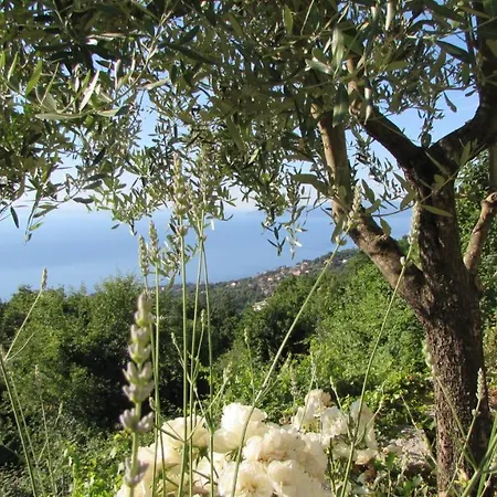 Vila Castella Poljane