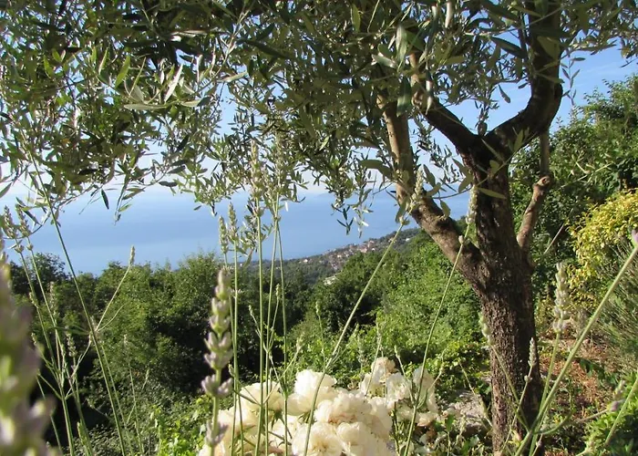 Willa Castella Poljane